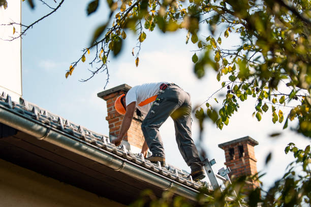 Best Flat Roof Repair Services  in Swartz Creek, MI