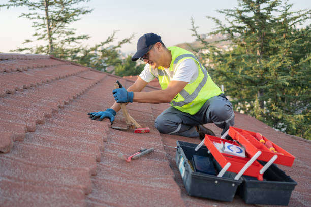 Best Shingle Roofing Installation  in Swartz Creek, MI