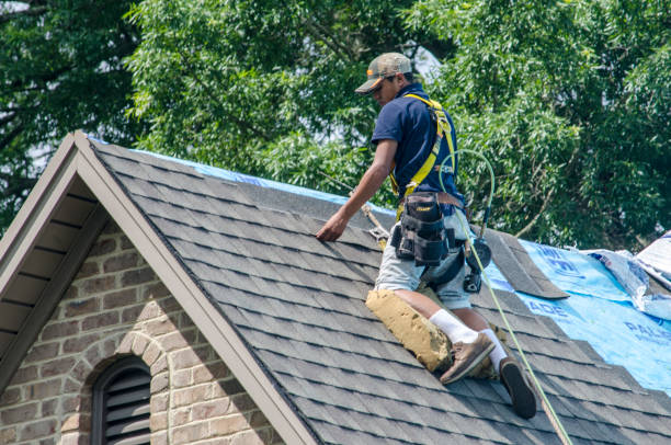 Best Metal Roofing Contractor  in Swartz Creek, MI